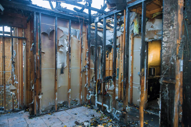 Professional Fire Damage Removal technician working in Ellicott City, MD