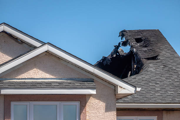 Top rated local Fire Damage Removal specialists in Ellicott City, MD